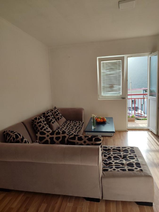 Apartment Pantovic Pluzine Exterior photo