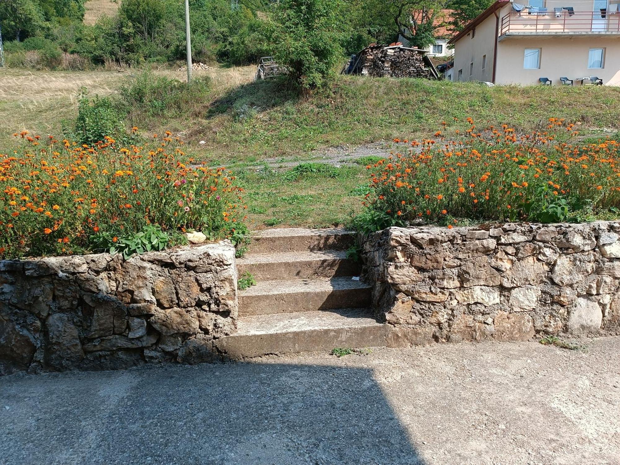 Apartment Pantovic Pluzine Exterior photo